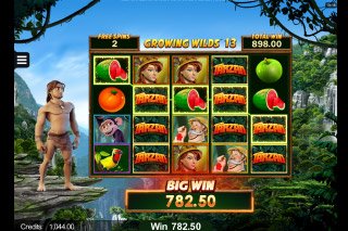 Tarzan slot machine game